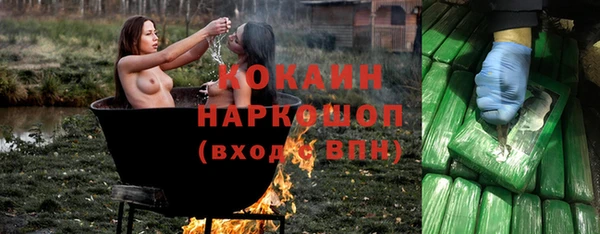 твердый Мегион