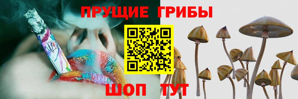 Псилоцибиновые грибы мицелий Чебаркуль